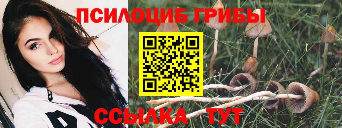 Галлюциногенные грибы мицелий  Вход с VPN  Елабуга 